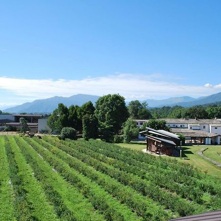 Agriturismo Il Frutto Permesso Bibiana Kültér fotó