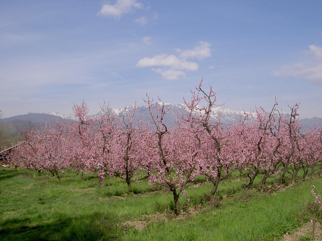 Agriturismo Il Frutto Permesso Bibiana Kültér fotó