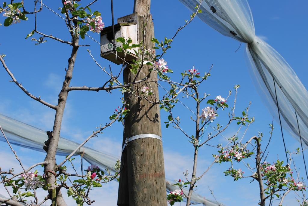 Agriturismo Il Frutto Permesso Bibiana Kültér fotó