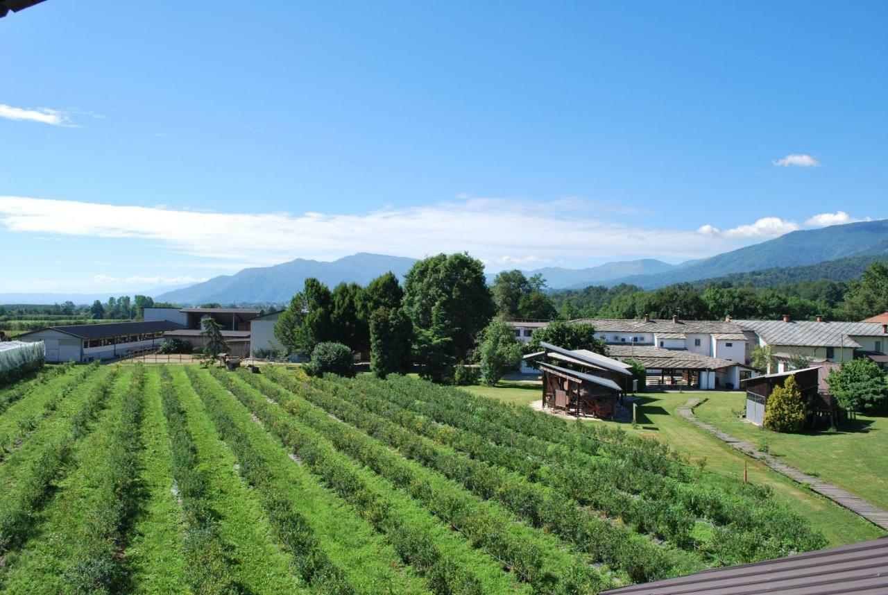 Agriturismo Il Frutto Permesso Bibiana Kültér fotó
