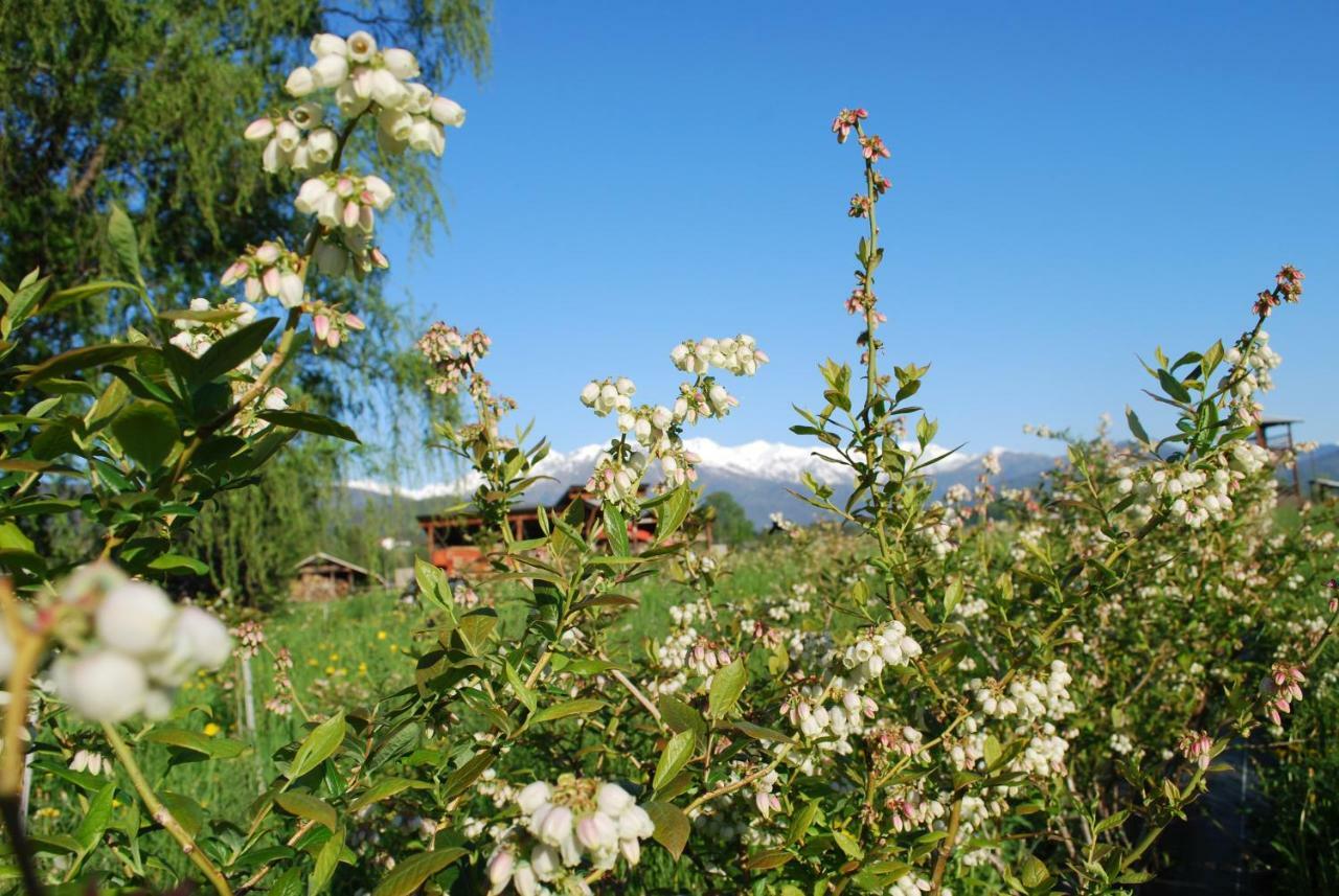 Agriturismo Il Frutto Permesso Bibiana Kültér fotó
